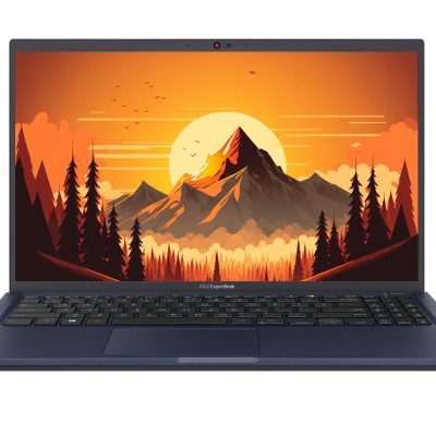 Asus ExpertBook L1500CDA-EJ0656